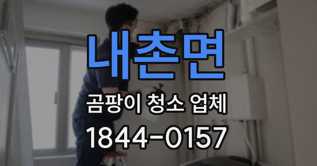 내촌면 곰팡이 청소 업체