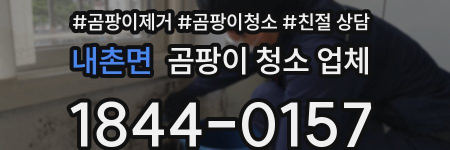 내촌면 곰팡이 청소 업체