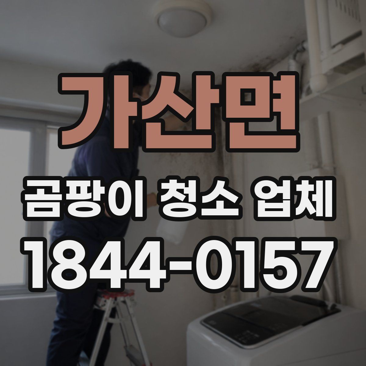 가산면 곰팡이 청소 업체 진행 사례로 보는 확인 사항