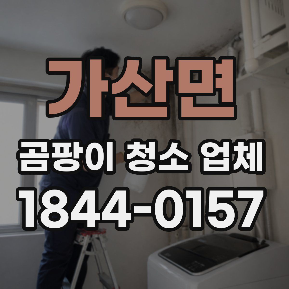 가산면 곰팡이 청소 업체