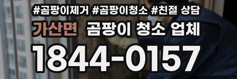 가산면 곰팡이 청소 업체