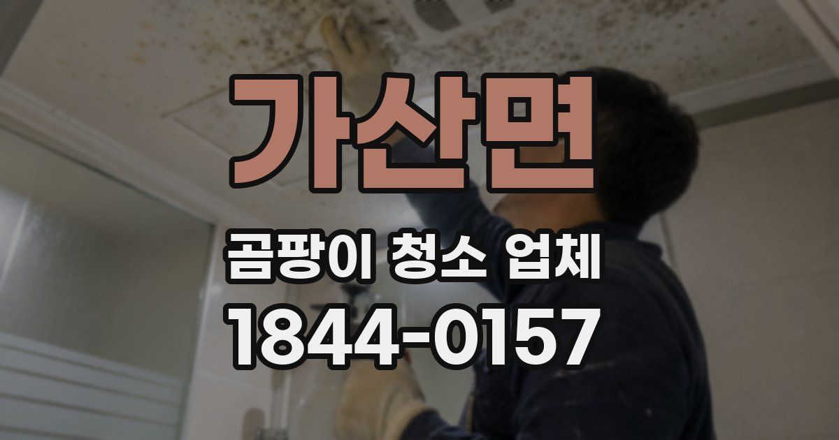 가산면 곰팡이 청소 업체