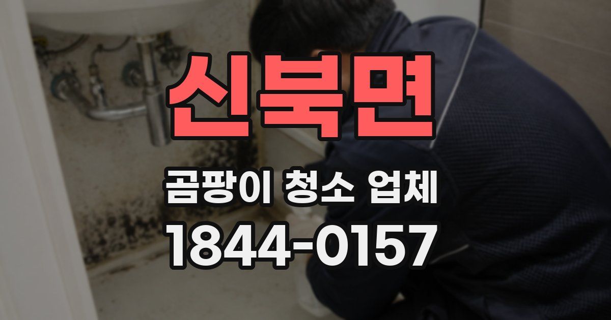신북면 곰팡이 청소 업체