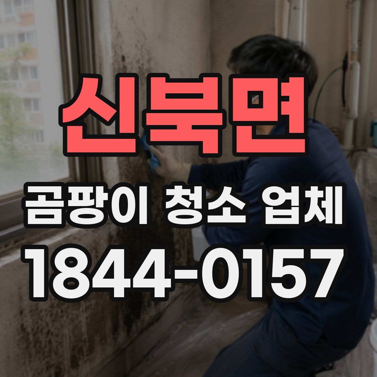 신북면 곰팡이 청소 업체