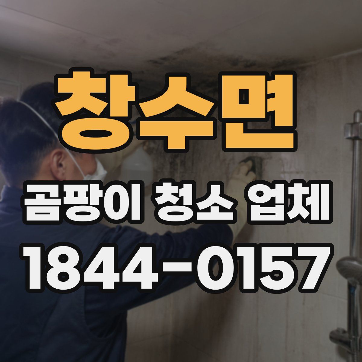 창수면 곰팡이 청소 업체