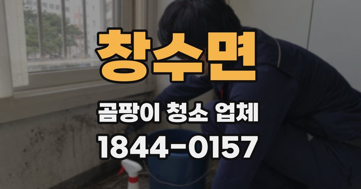 창수면 곰팡이 청소 업체