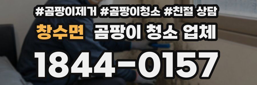 창수면 곰팡이 청소 업체