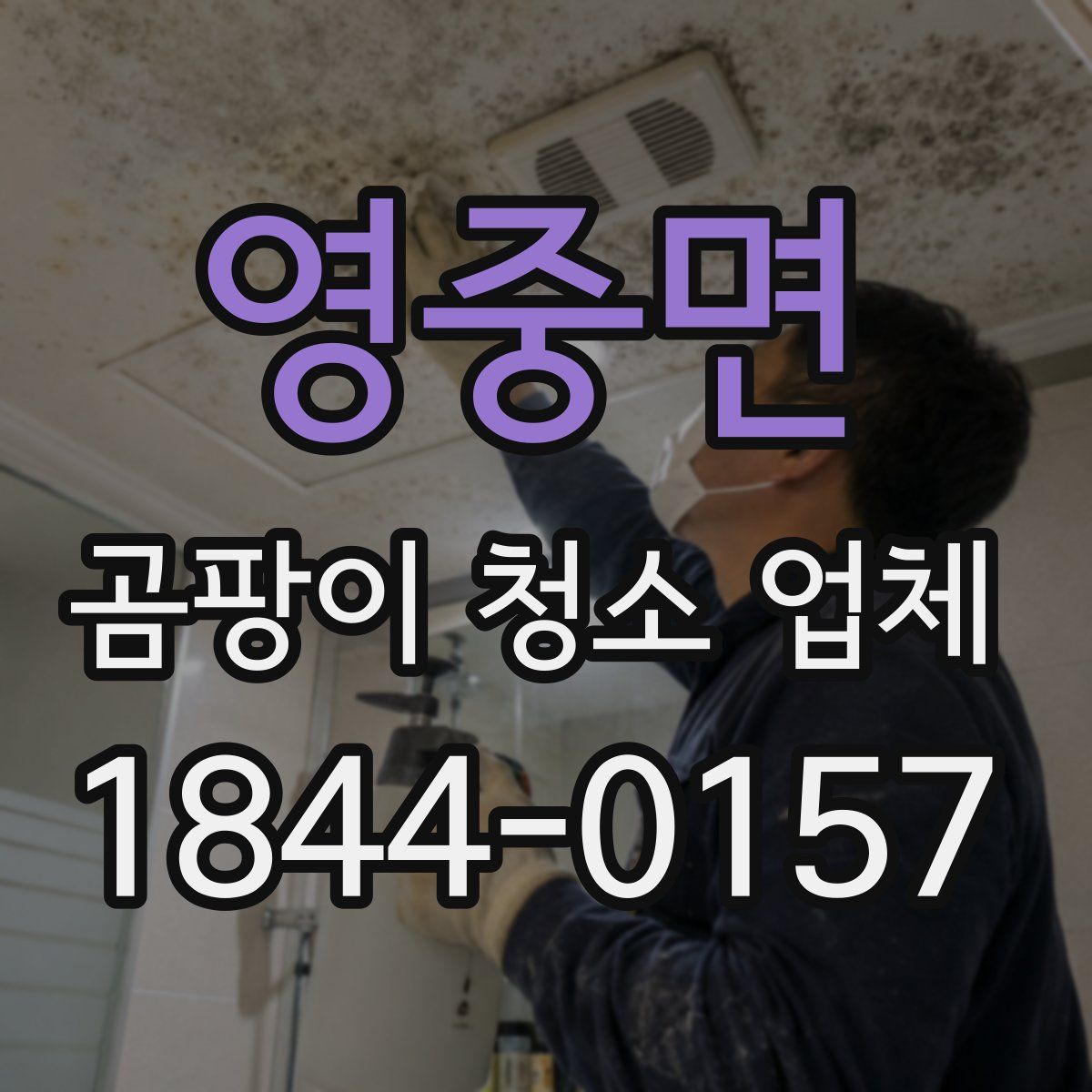 영중면 곰팡이 청소 업체