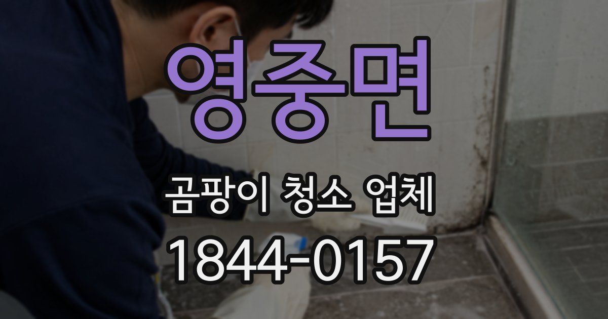 영중면 곰팡이 청소 업체