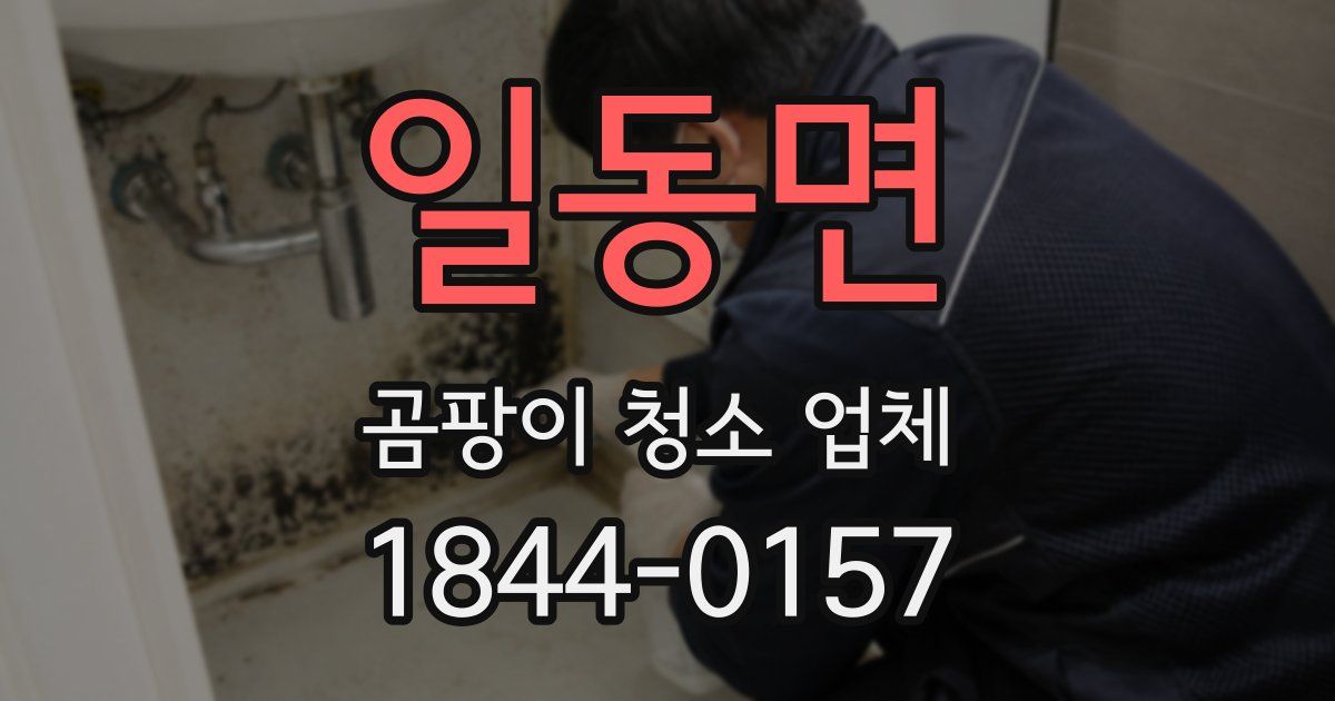 일동면 곰팡이 청소 업체