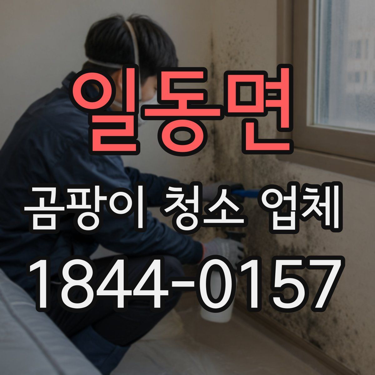 일동면 곰팡이 청소 업체