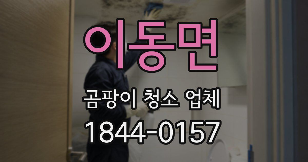 이동면 곰팡이 청소 업체