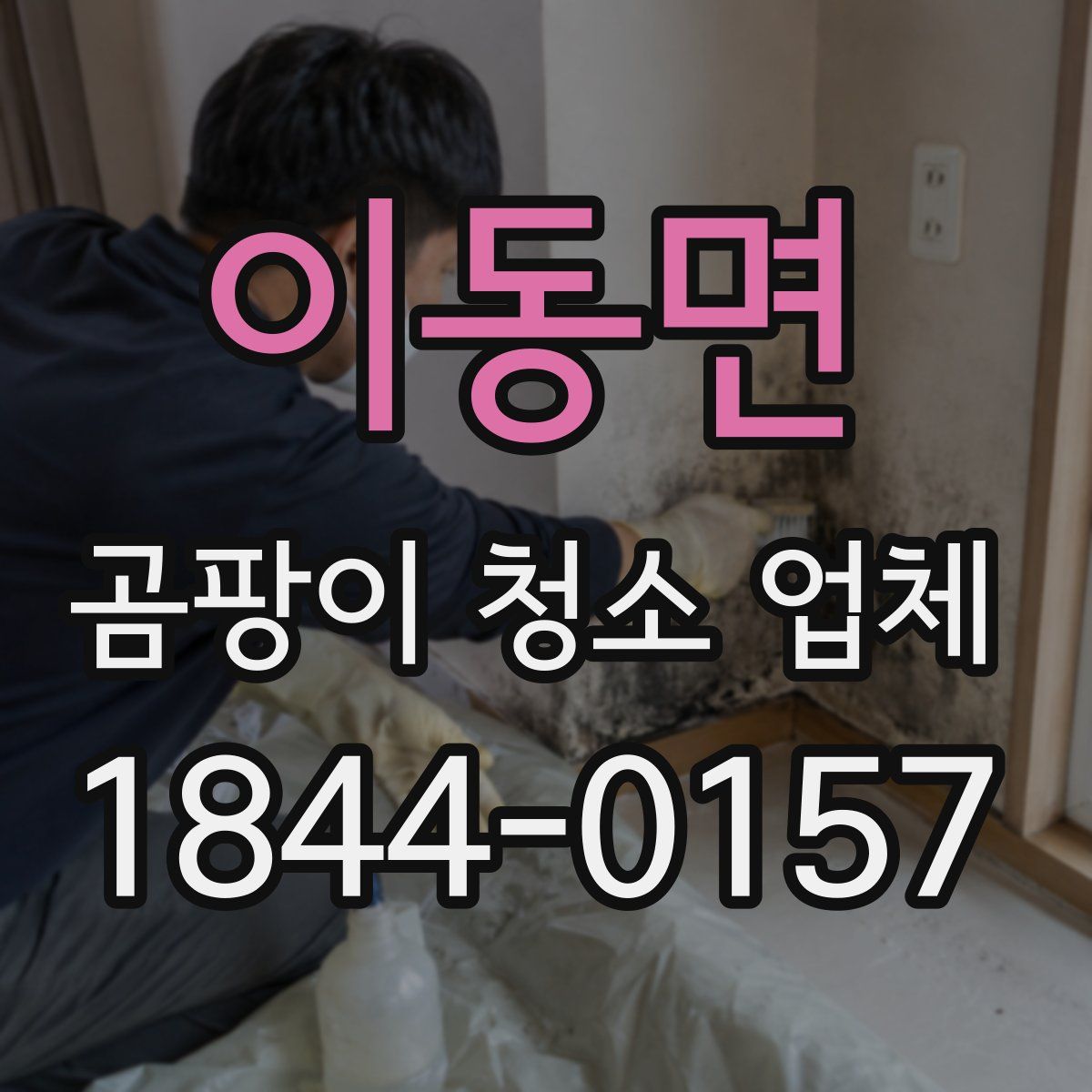 이동면 곰팡이 청소 업체
