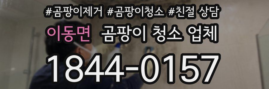 이동면 곰팡이 청소 업체