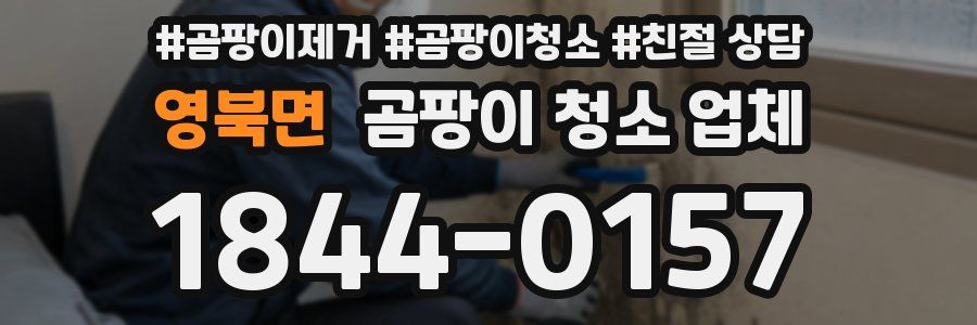 영북면 곰팡이 청소 업체
