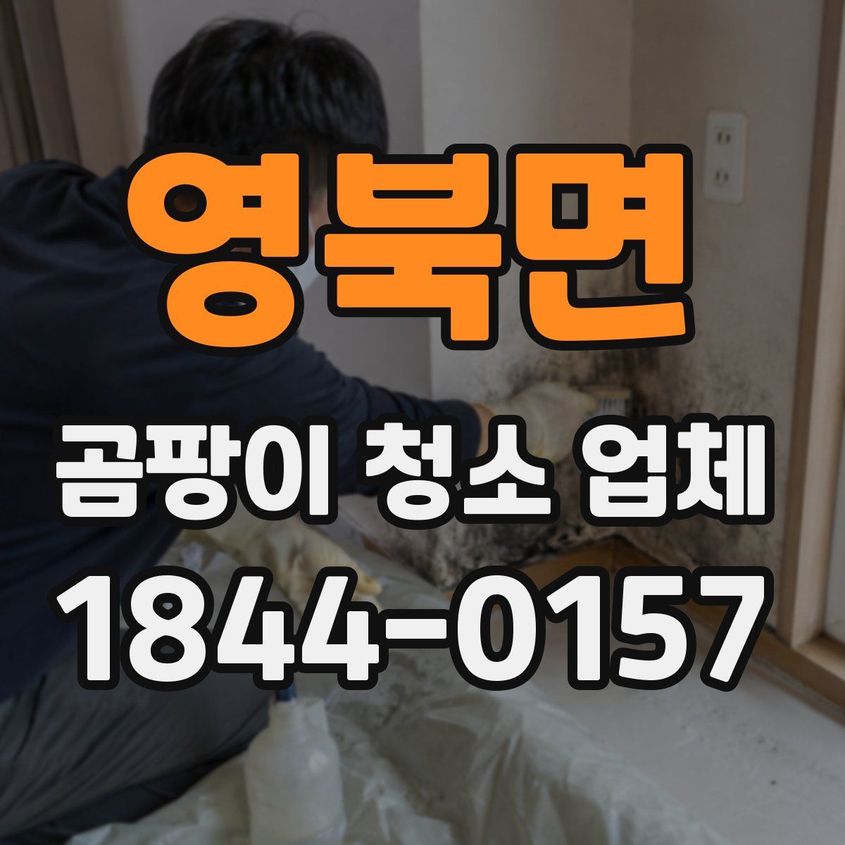영북면 곰팡이 청소 업체