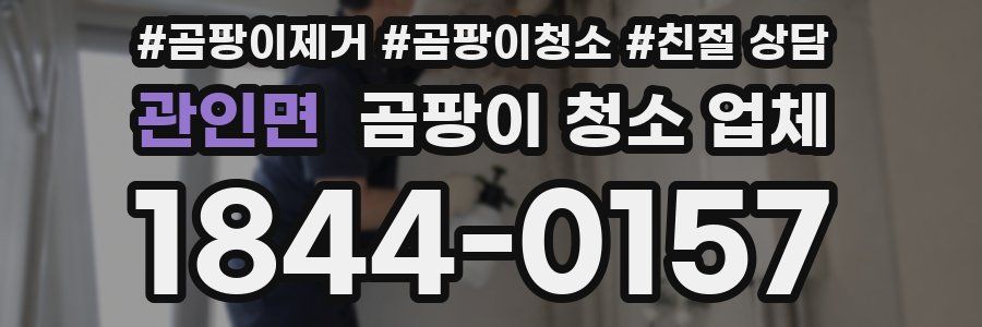 관인면 곰팡이 청소 업체