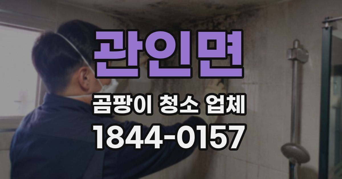 관인면 곰팡이 청소 업체