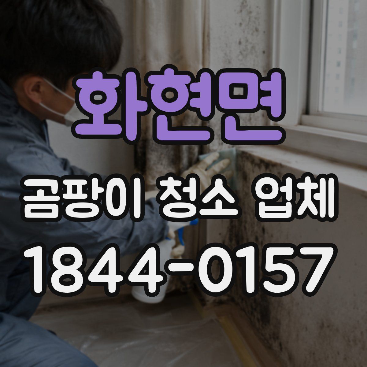 화현면 곰팡이 청소 업체