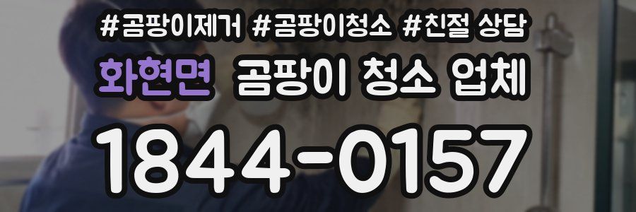 화현면 곰팡이 청소 업체
