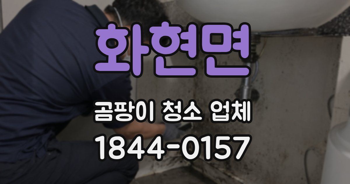 화현면 곰팡이 청소 업체