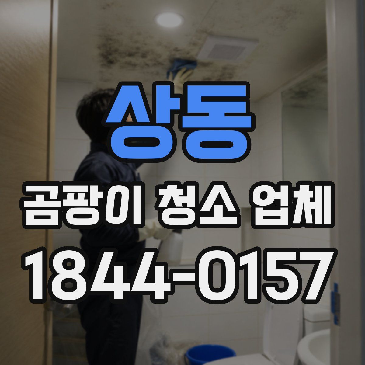 상동 곰팡이 청소 업체