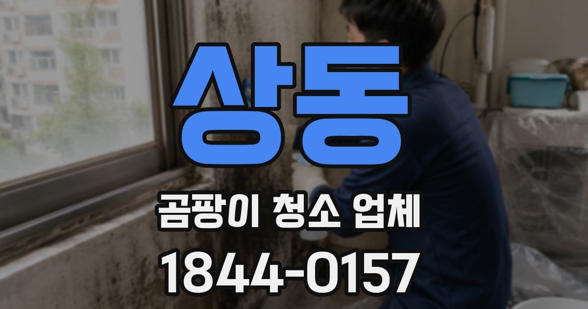 상동 곰팡이 청소 업체
