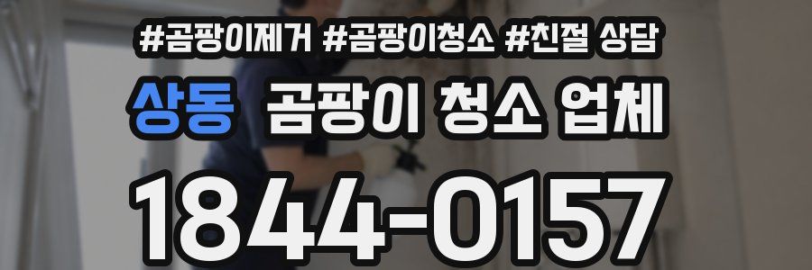 상동 곰팡이 청소 업체