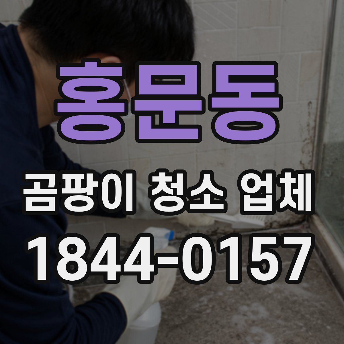홍문동 곰팡이 청소 업체
