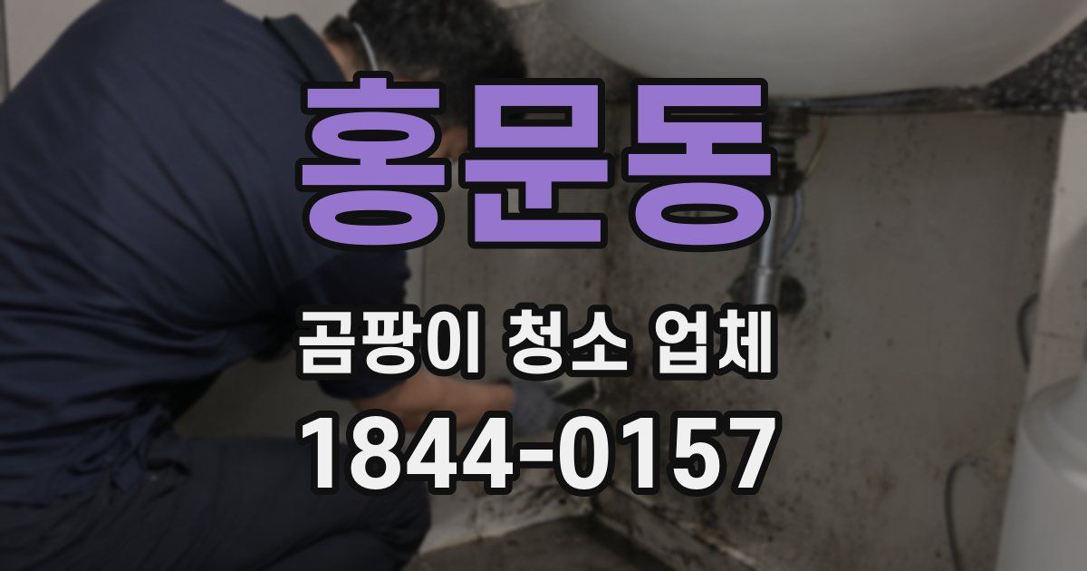 홍문동 곰팡이 청소 업체