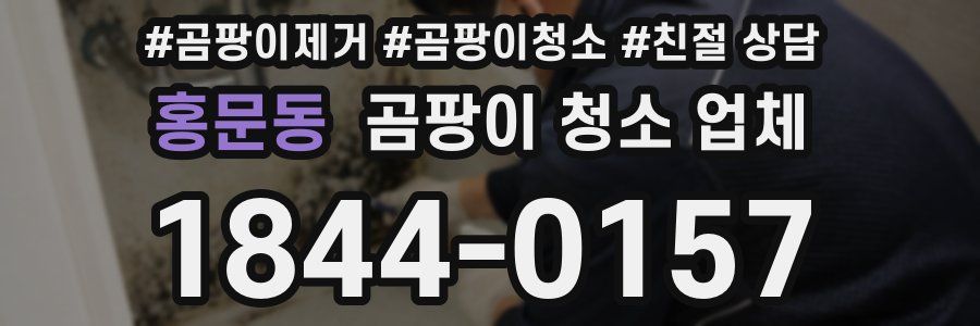 홍문동 곰팡이 청소 업체
