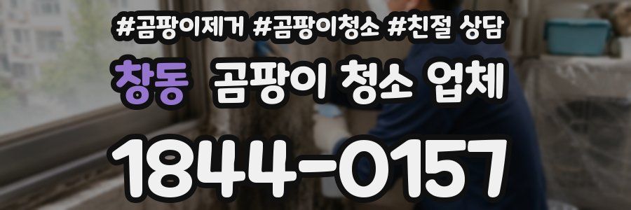 창동 곰팡이 청소 업체