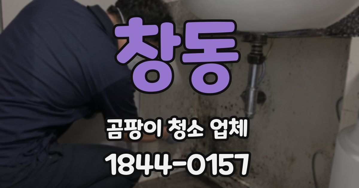 창동 곰팡이 청소 업체