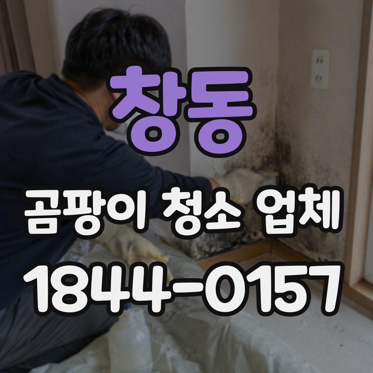 창동 곰팡이 청소 업체