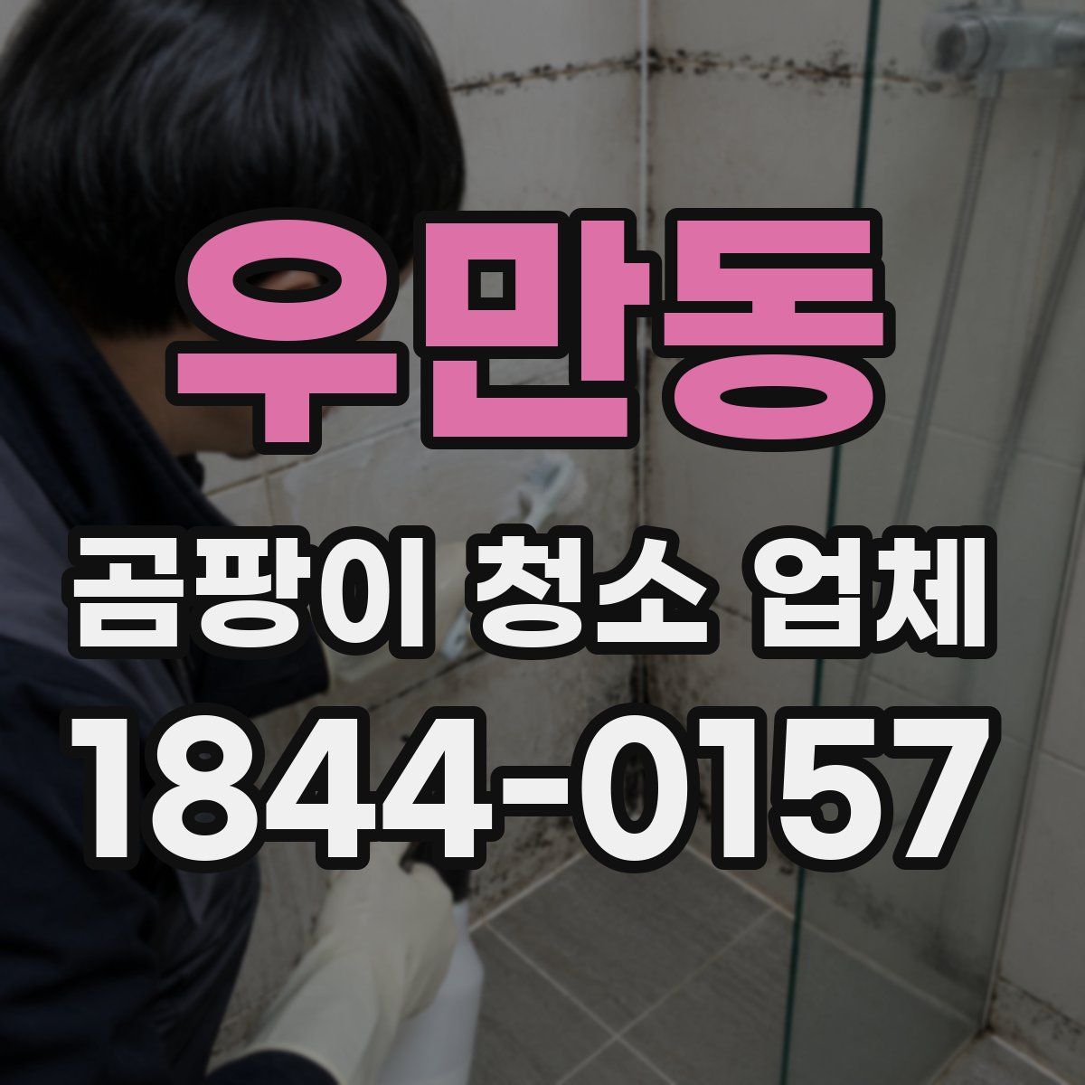 우만동 곰팡이 청소 업체