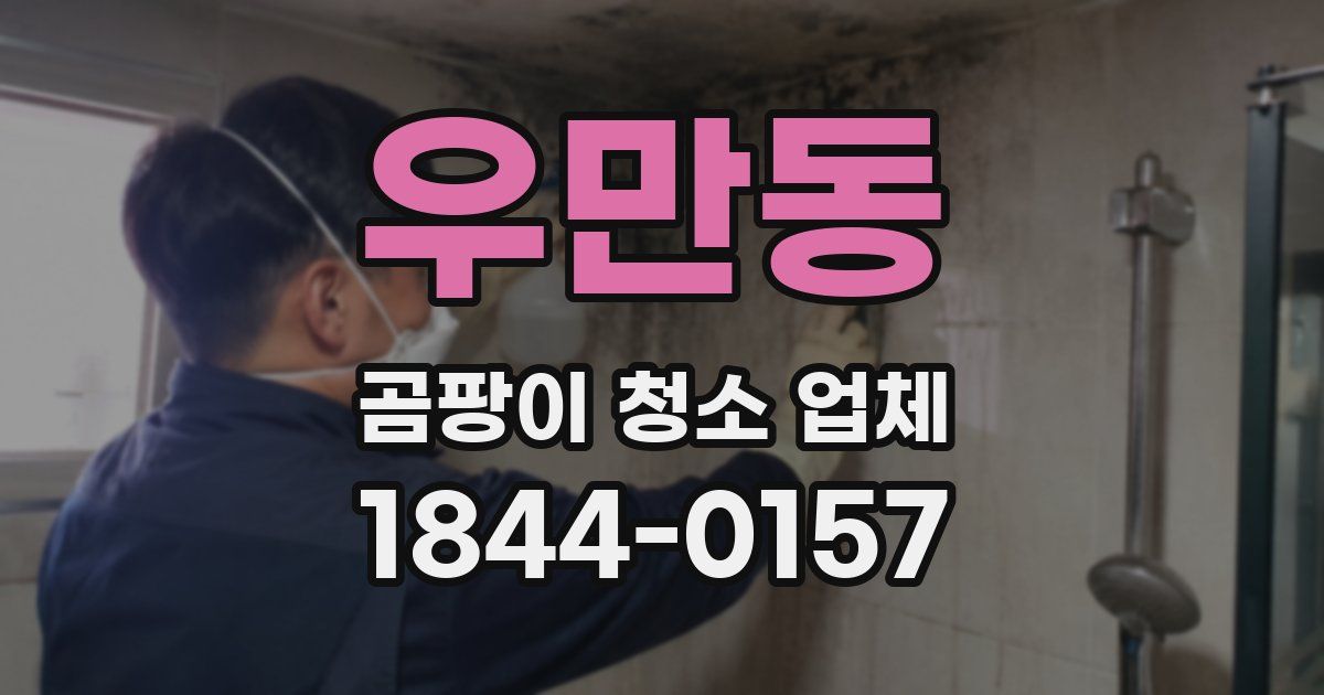 우만동 곰팡이 청소 업체