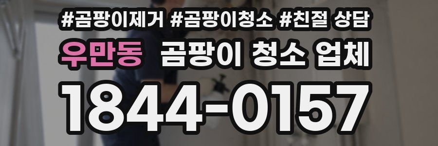 우만동 곰팡이 청소 업체