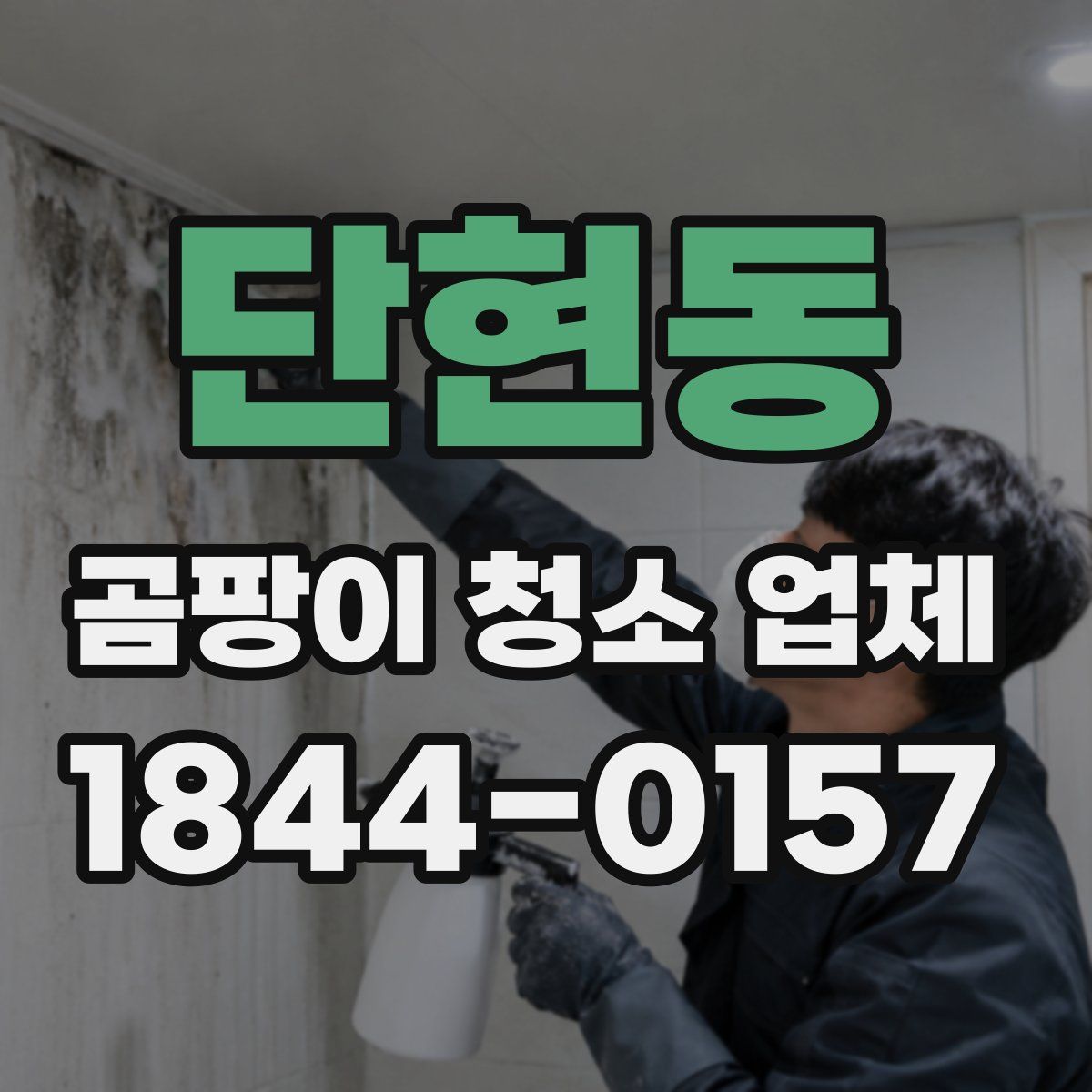 단현동 곰팡이 청소 업체