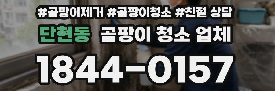 단현동 곰팡이 청소 업체