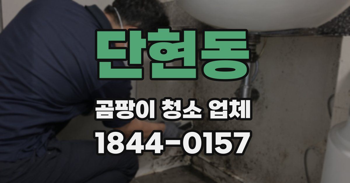 단현동 곰팡이 청소 업체