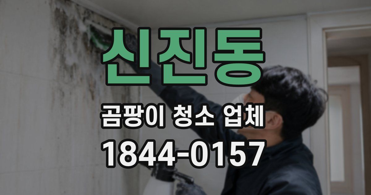 신진동 곰팡이 청소 업체