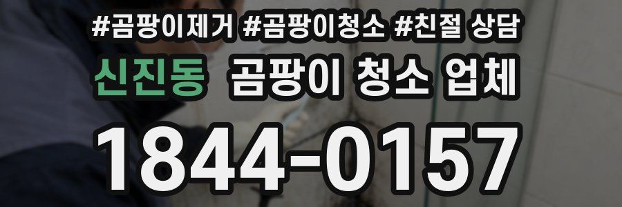 신진동 곰팡이 청소 업체