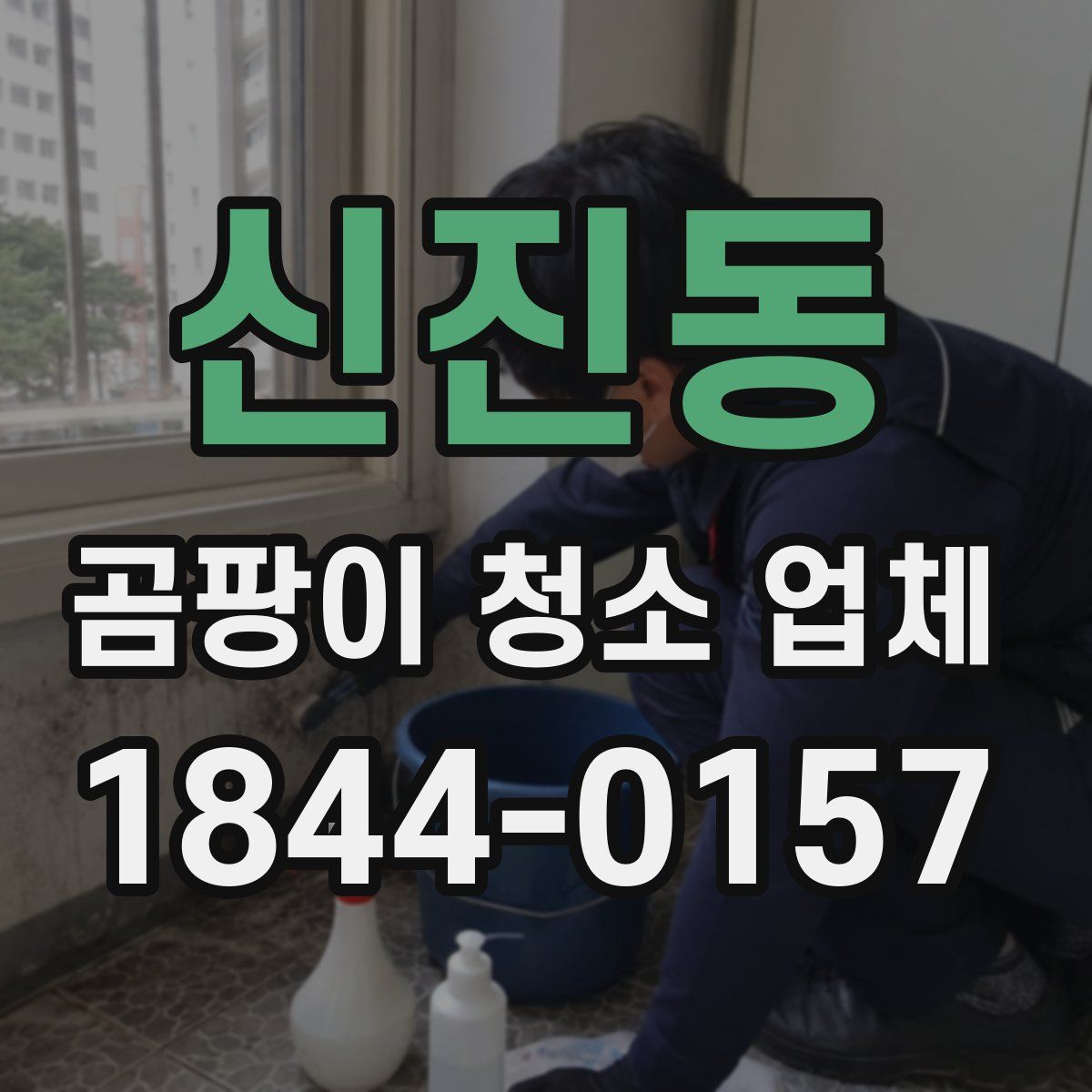 신진동 곰팡이 청소 업체