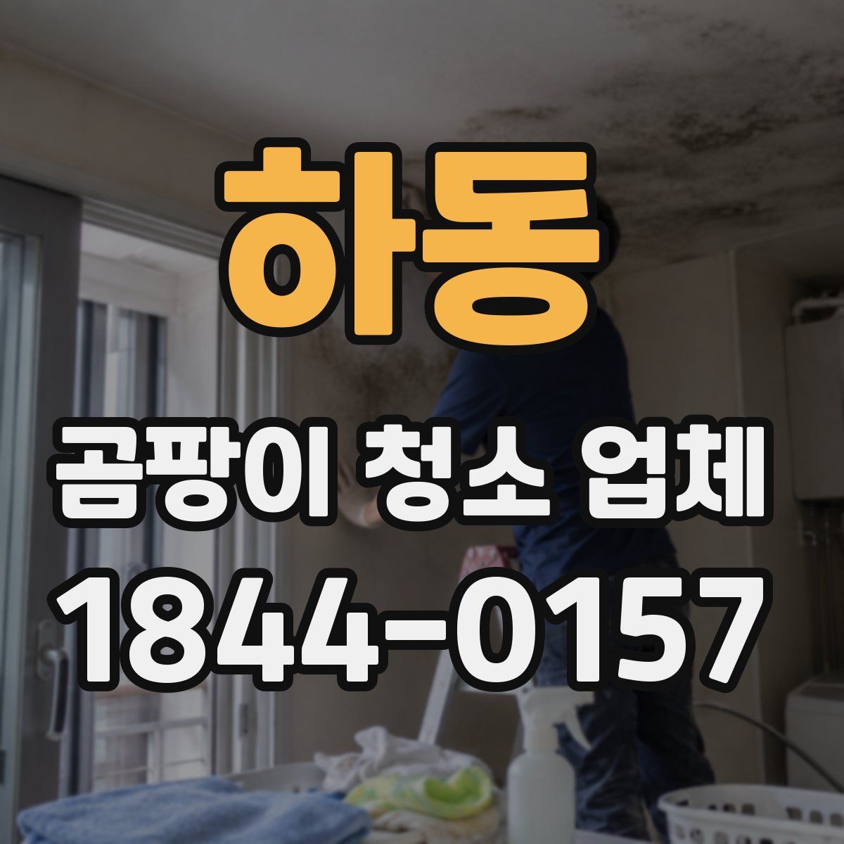 하동 곰팡이 청소 업체