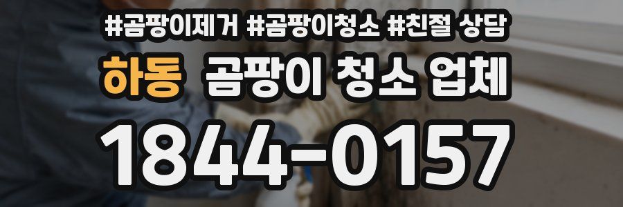 하동 곰팡이 청소 업체