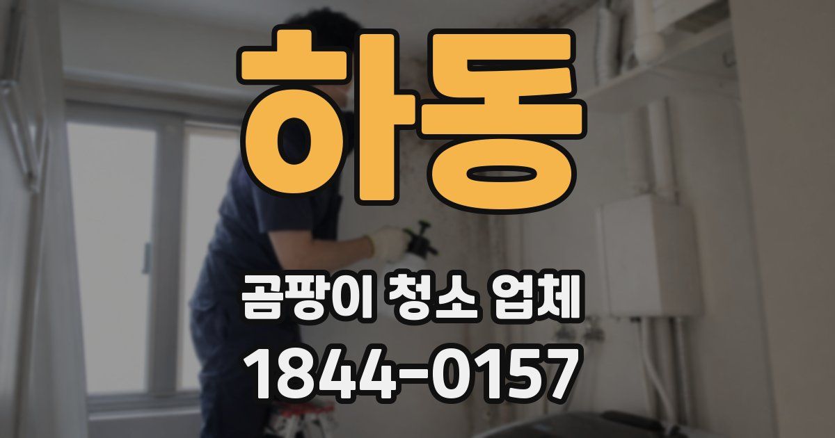 하동 곰팡이 청소 업체