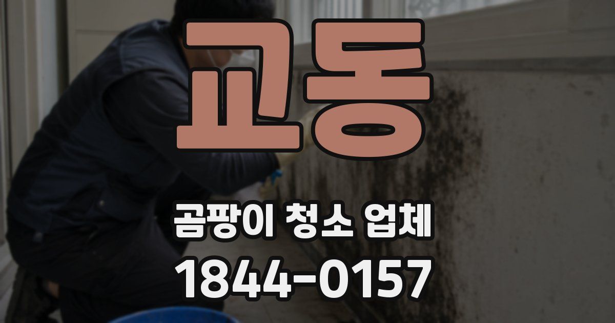 교동 곰팡이 청소 업체
