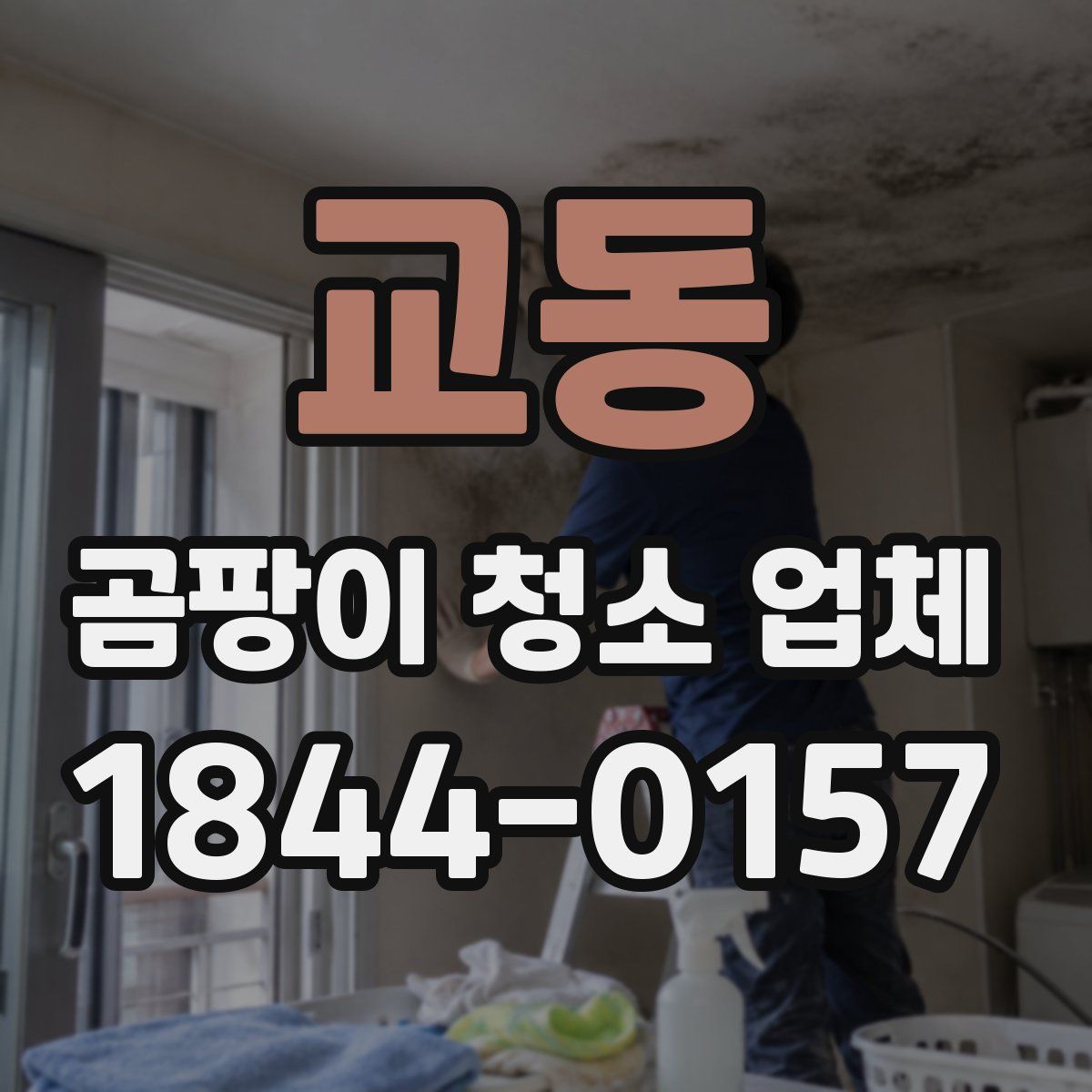 교동 곰팡이 청소 업체