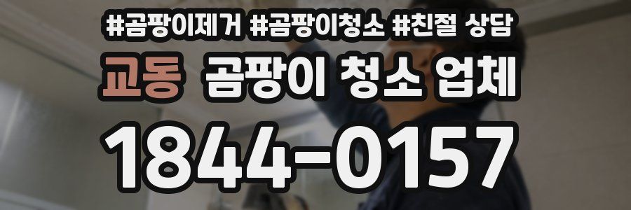 교동 곰팡이 청소 업체