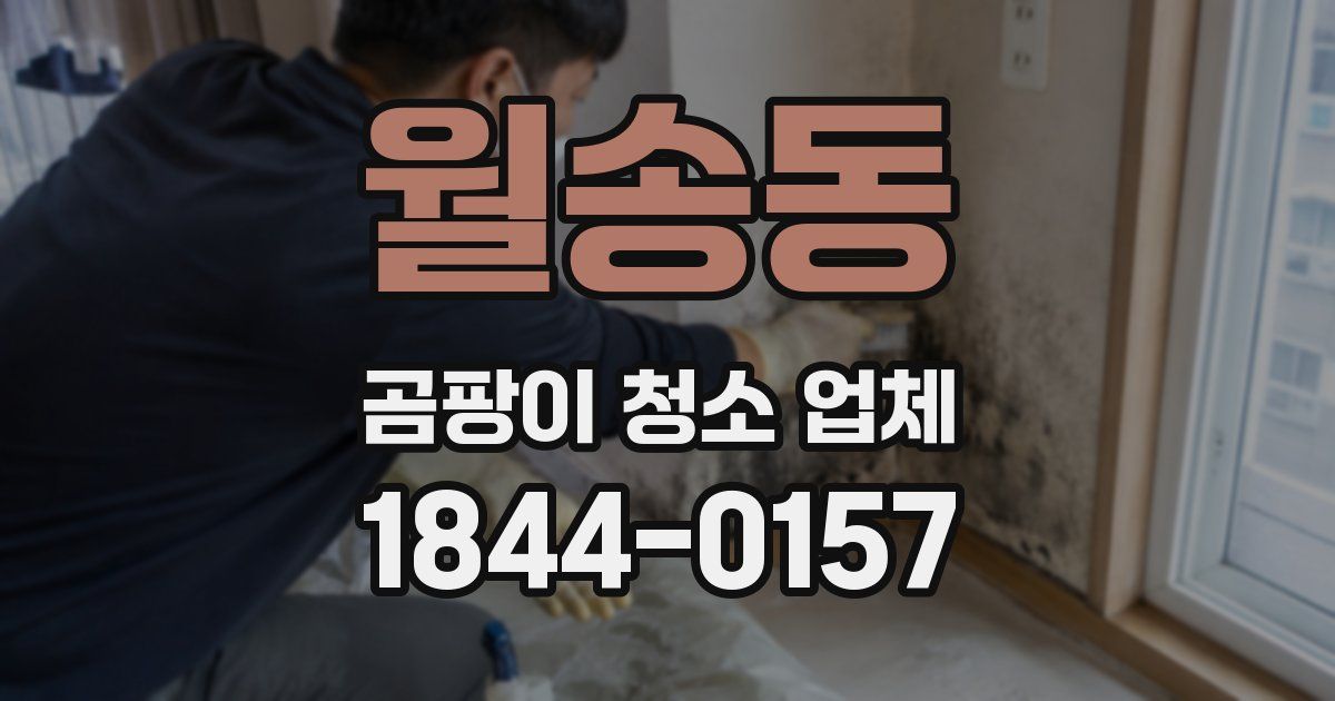 월송동 곰팡이 청소 업체